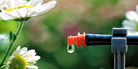 Find Rebates Here